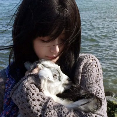 代号九耳犬